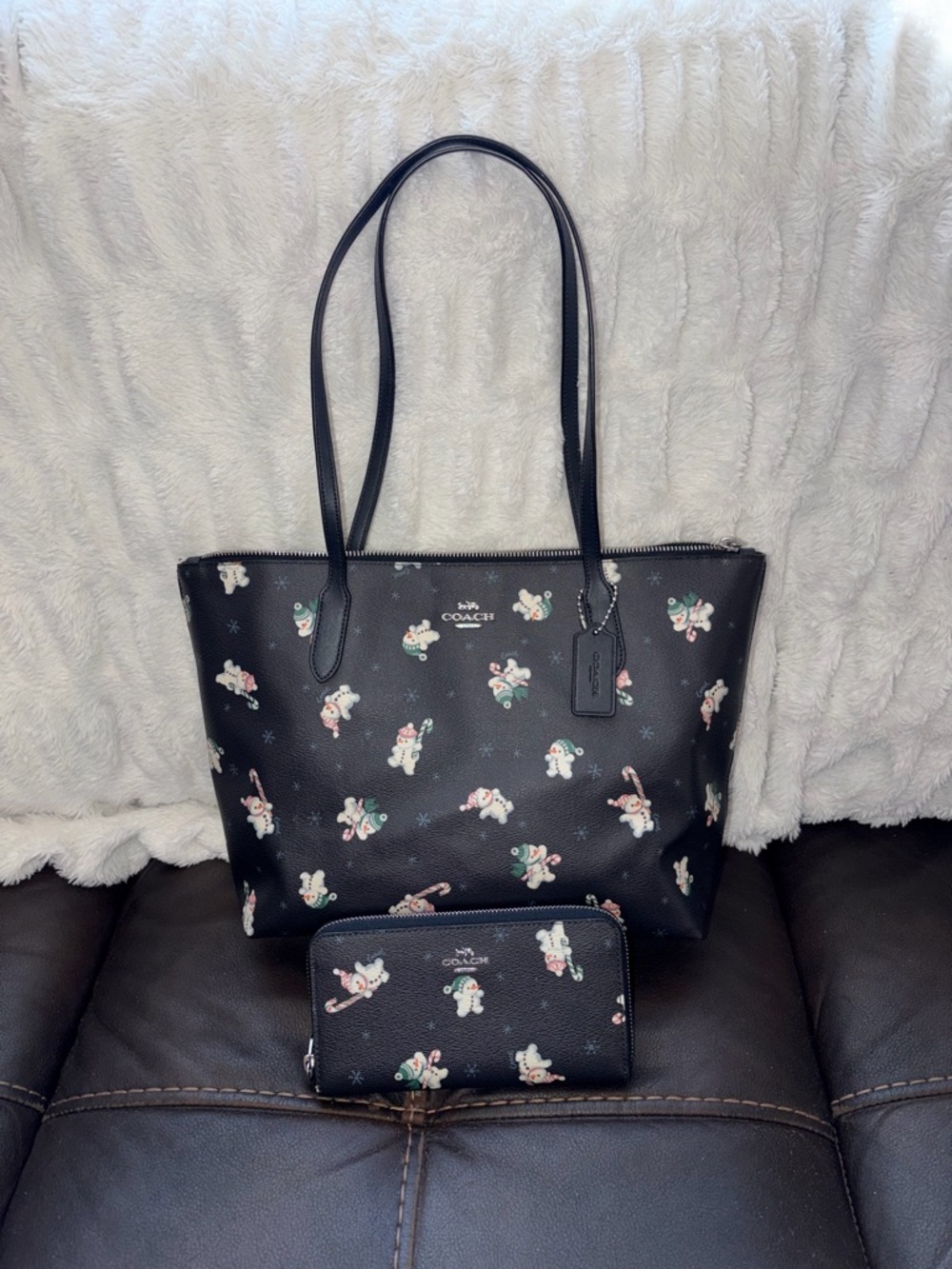 Coach Holiday Print Purse and wallet